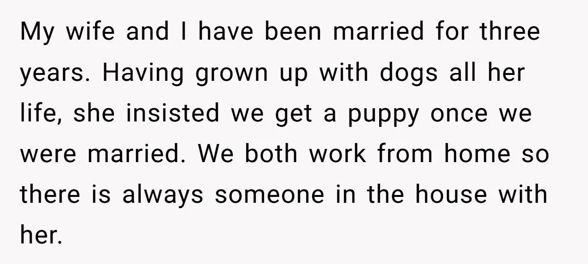 This Wife Wants to Give Away the Dog She Insisted On - Husband Refuses, and Family Tension Explodes