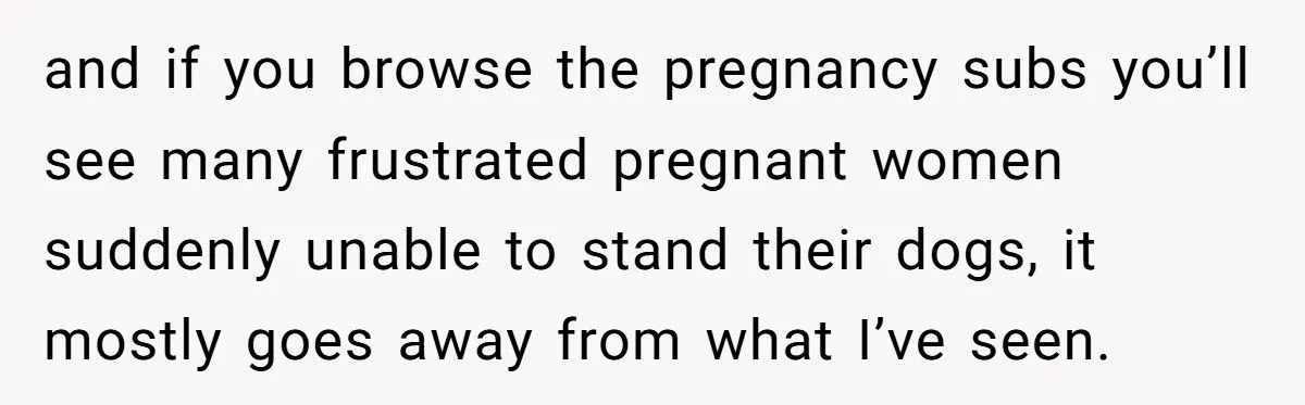 This Wife Wants to Give Away the Dog She Insisted On - Husband Refuses, and Family Tension Explodes