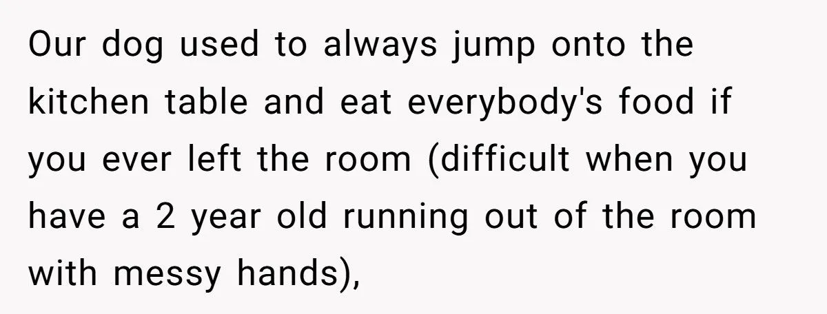 This Wife Wants to Give Away the Dog She Insisted On - Husband Refuses, and Family Tension Explodes