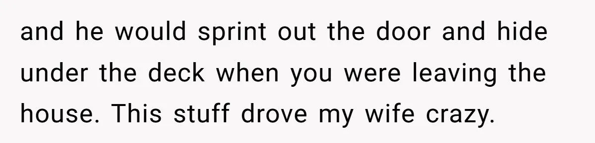 This Wife Wants to Give Away the Dog She Insisted On - Husband Refuses, and Family Tension Explodes