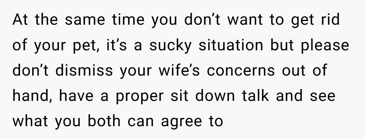 This Wife Wants to Give Away the Dog She Insisted On - Husband Refuses, and Family Tension Explodes