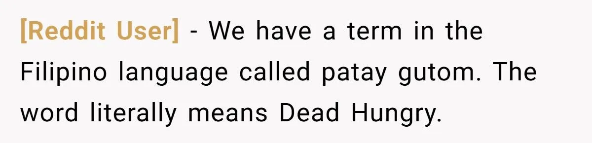 Roommate’s Snack Attacks Lead To A Mini Fridge Showdown