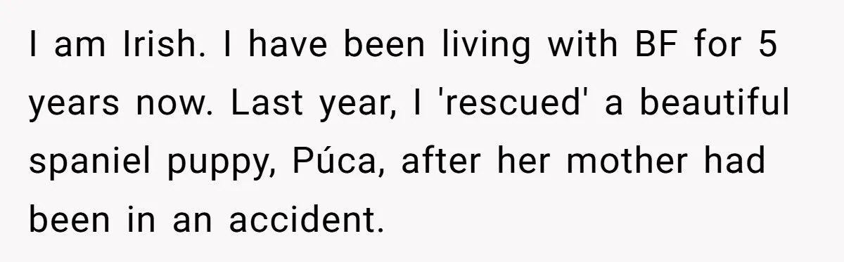 Woman Sues In-Laws After They Swapped Her Dog During Her Absence