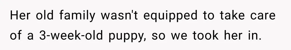 Woman Sues In-Laws After They Swapped Her Dog During Her Absence