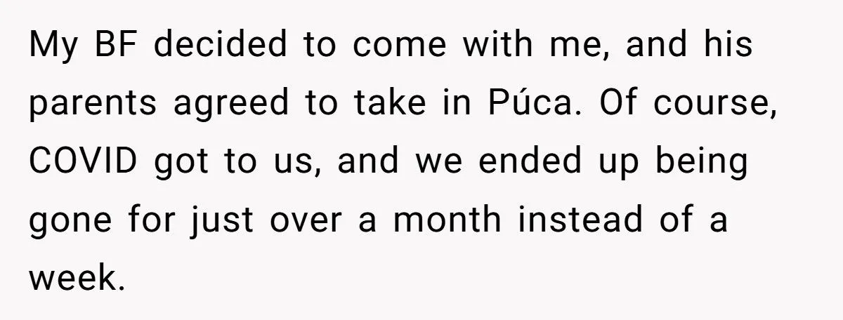 Woman Sues In-Laws After They Swapped Her Dog During Her Absence