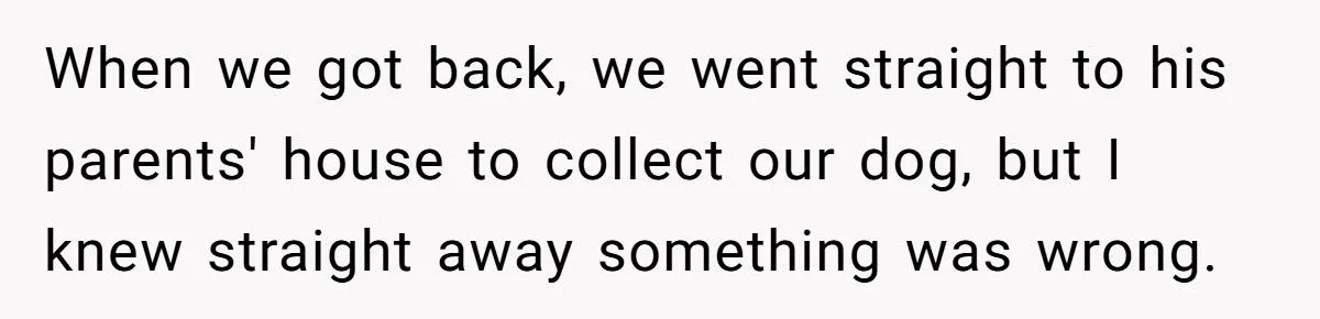 Woman Sues In-Laws After They Swapped Her Dog During Her Absence