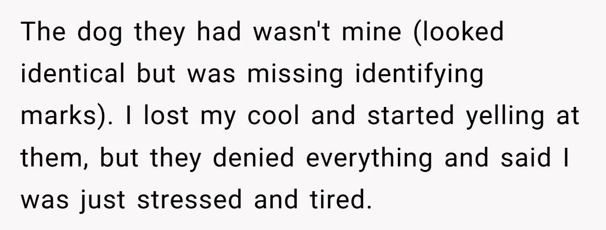 Woman Sues In-Laws After They Swapped Her Dog During Her Absence