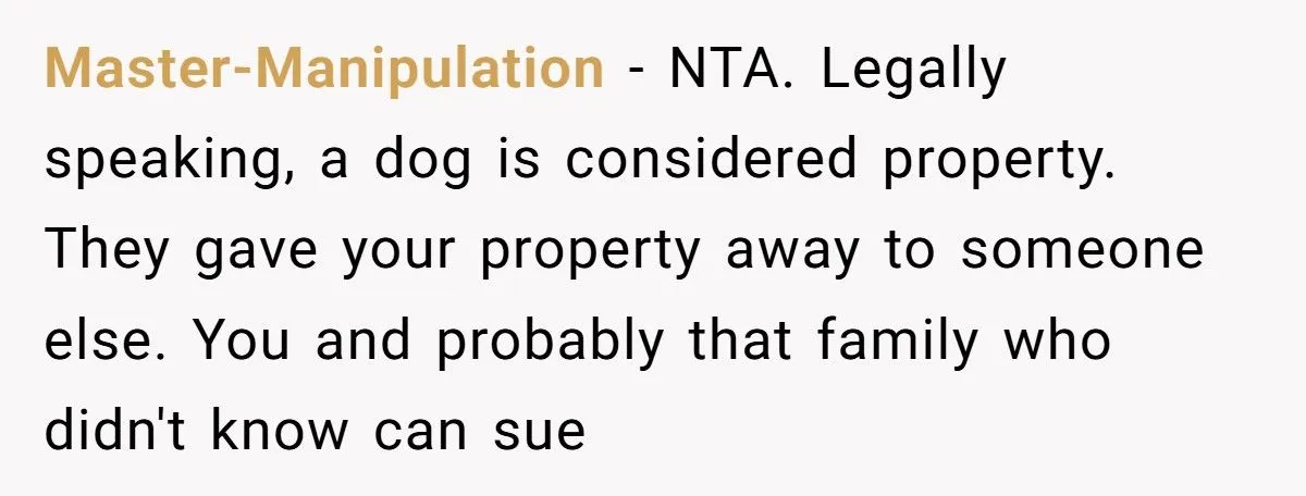 Woman Sues In-Laws After They Swapped Her Dog During Her Absence