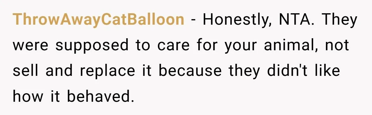 Woman Sues In-Laws After They Swapped Her Dog During Her Absence
