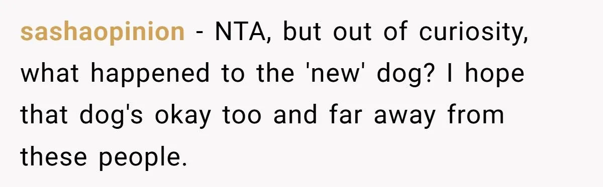 Woman Sues In-Laws After They Swapped Her Dog During Her Absence