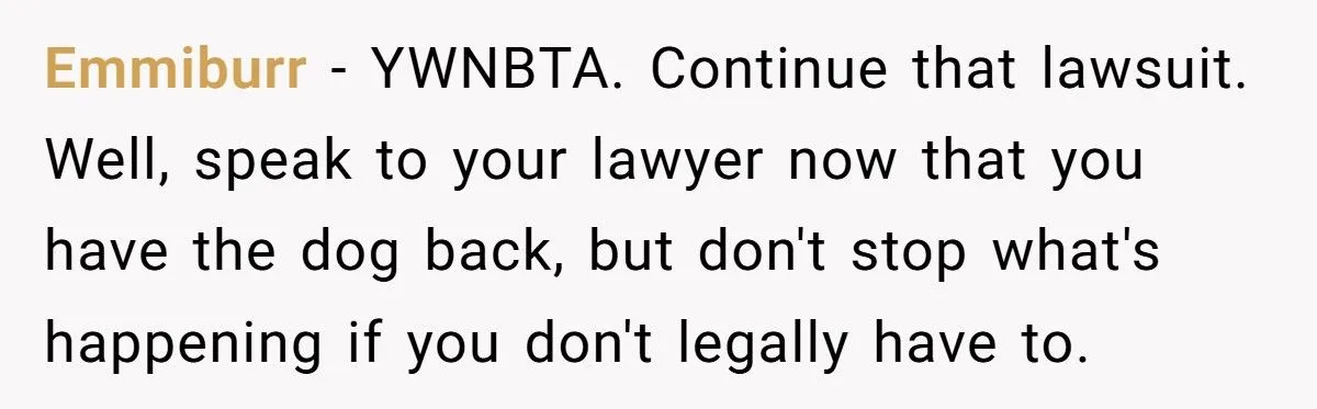 Woman Sues In-Laws After They Swapped Her Dog During Her Absence