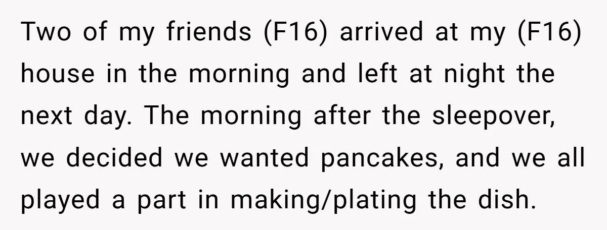 Teen’s Sleepover Turns Sour When Friends Balk At Cleaning Up The Mess