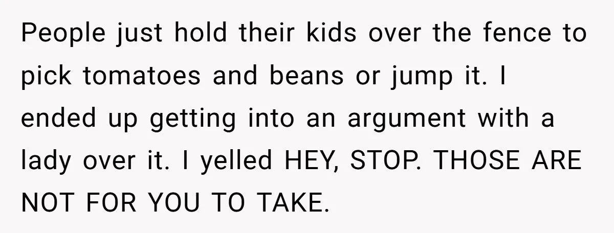 Homeowner Asks Neighbor to Move “Community Farm Stand” After Thieves Raid Their Garden