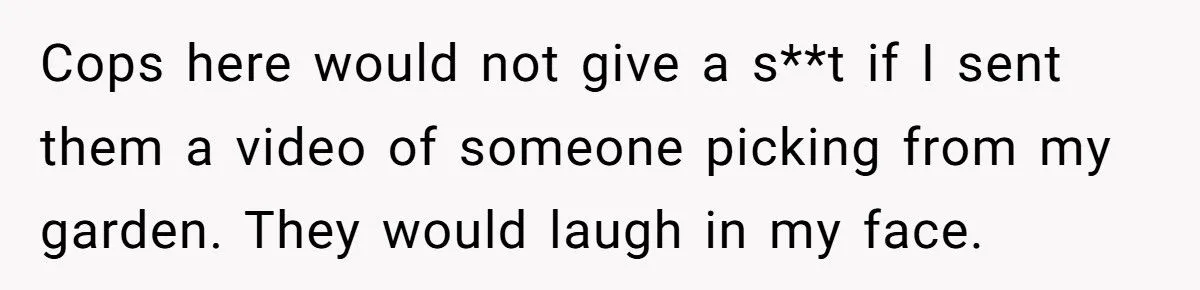 Homeowner Asks Neighbor to Move “Community Farm Stand” After Thieves Raid Their Garden