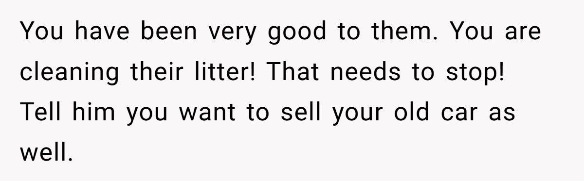 She’s Ready to Stop Doing All the Extra Work for Her Ex After He Refused a Simple Favor