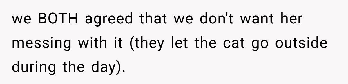She’s Ready to Stop Doing All the Extra Work for Her Ex After He Refused a Simple Favor