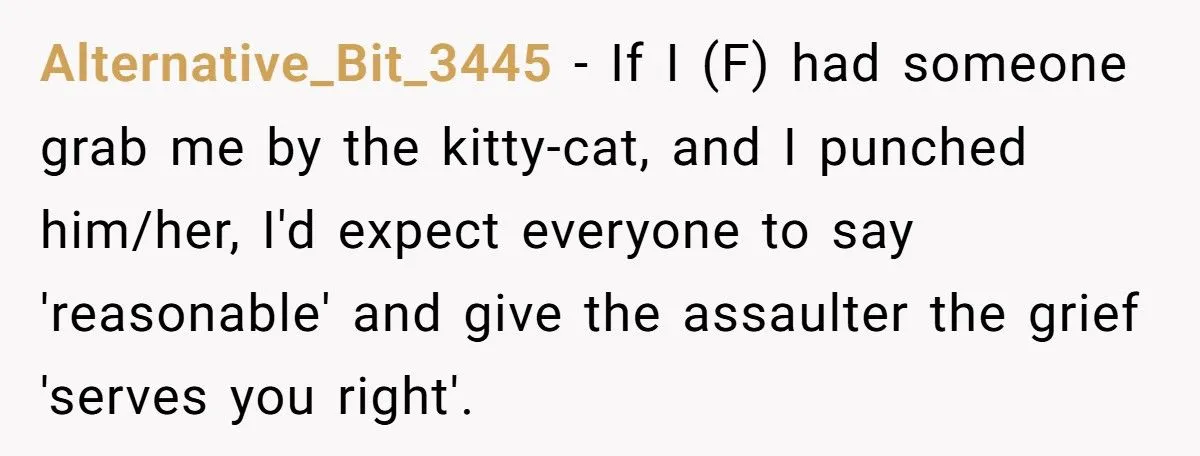 Gender Debate Erupts After Guy Punches Girl for Grabbing Him at Party