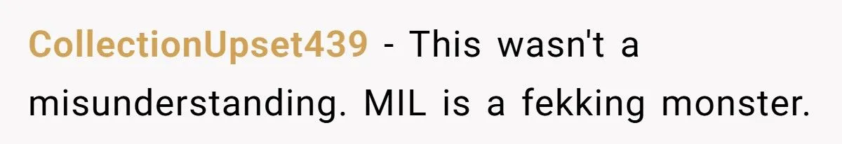 MIL Humiliates Mom at Daughter’s First Birthday With Shocking Gift - and Gets Kicked Out