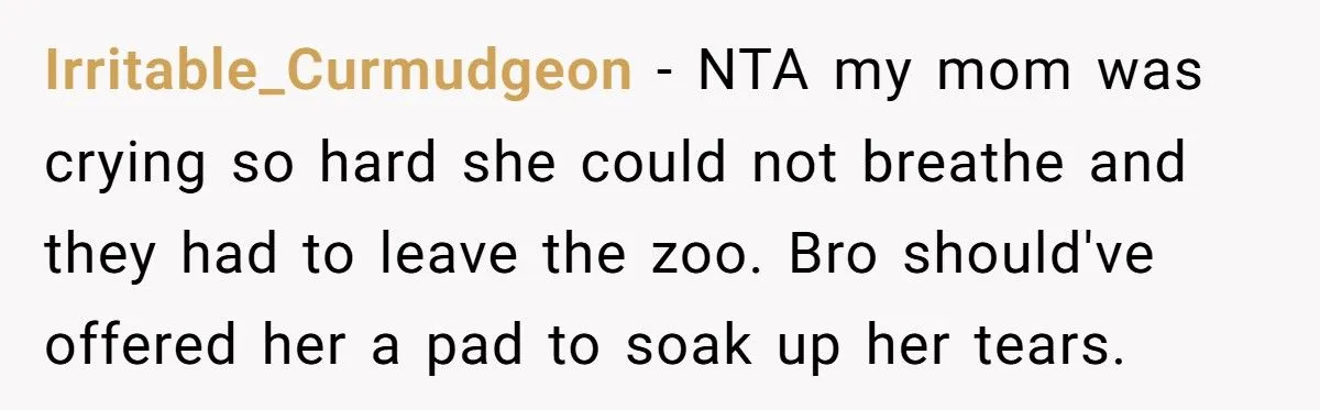 This Man Called His Mom a “Dinosaur” After She Shamed His Brother for Carrying Pads for His Daughters - Was He Wrong?