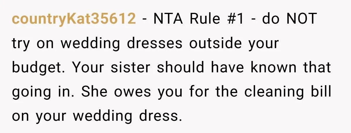 After Ruining Her Sister’s Dream Dress, She Expects Her to Buy One Too