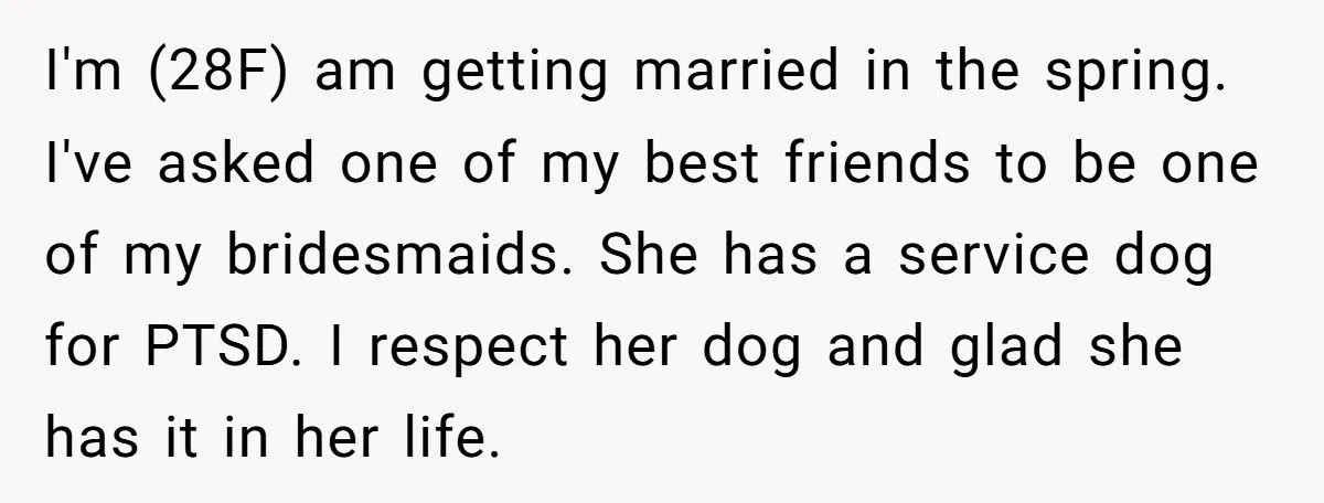 Bride Refuses to Let Her Friend’s Service Dog Participate in Wedding Photos or Ceremony - Friend Calls It Ableist