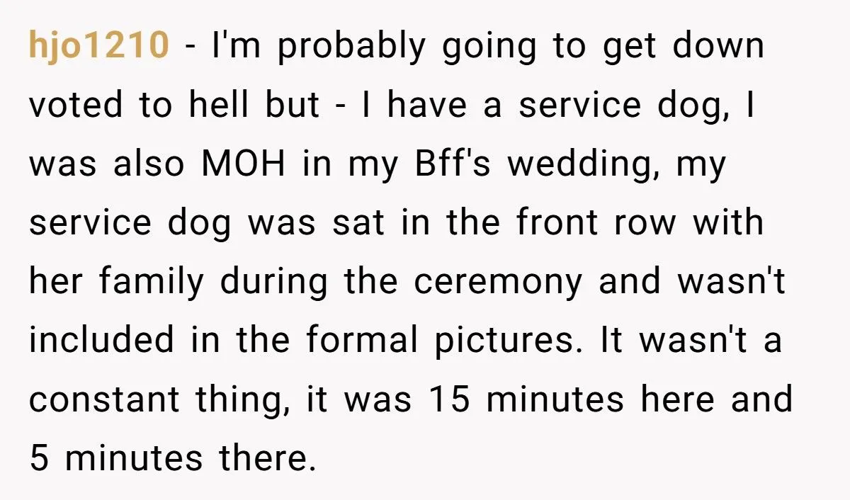Bride Refuses to Let Her Friend’s Service Dog Participate in Wedding Photos or Ceremony - Friend Calls It Ableist