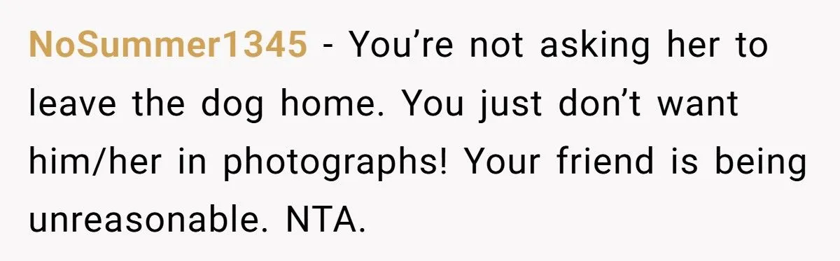 Bride Refuses to Let Her Friend’s Service Dog Participate in Wedding Photos or Ceremony - Friend Calls It Ableist