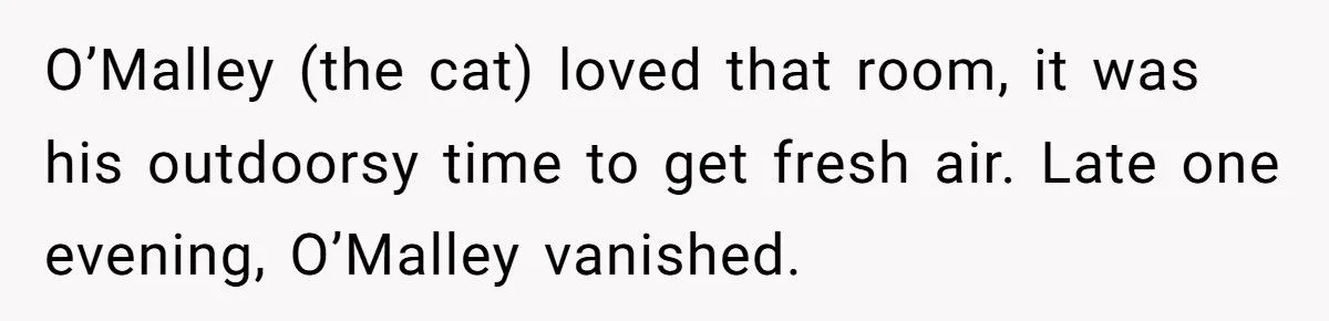 She Refused to Give Back Her Stolen Cat – What Happened Next Turned Into a Family Feud