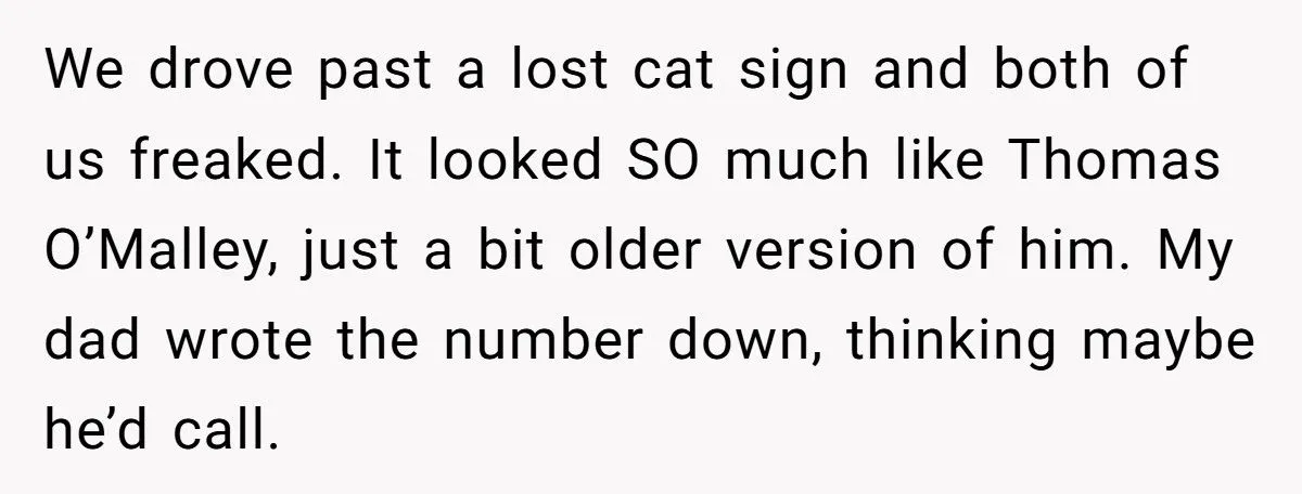 She Refused to Give Back Her Stolen Cat – What Happened Next Turned Into a Family Feud