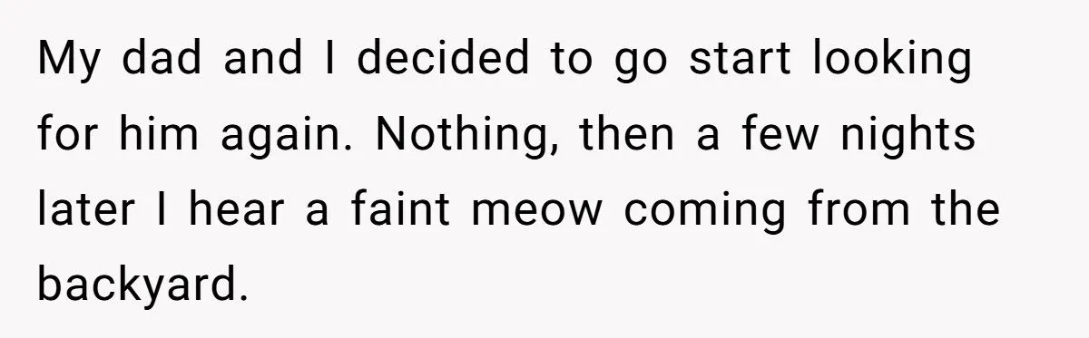 She Refused to Give Back Her Stolen Cat – What Happened Next Turned Into a Family Feud