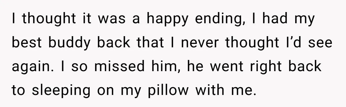 She Refused to Give Back Her Stolen Cat – What Happened Next Turned Into a Family Feud