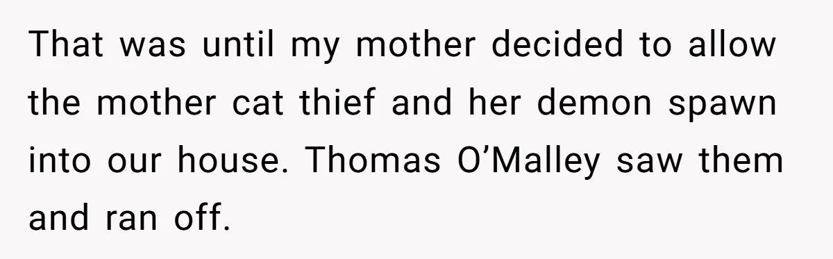 She Refused to Give Back Her Stolen Cat – What Happened Next Turned Into a Family Feud