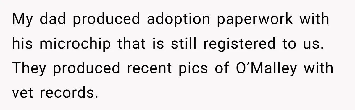 She Refused to Give Back Her Stolen Cat – What Happened Next Turned Into a Family Feud