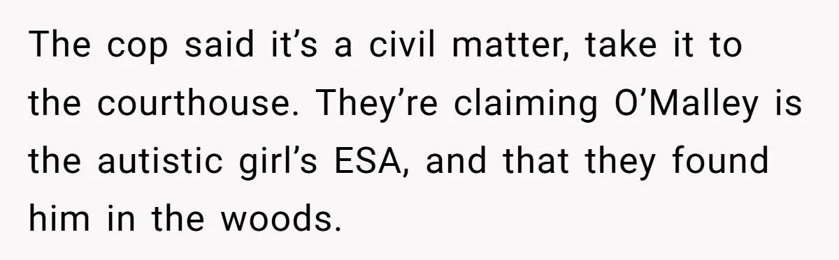 She Refused to Give Back Her Stolen Cat – What Happened Next Turned Into a Family Feud