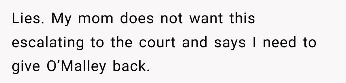 She Refused to Give Back Her Stolen Cat – What Happened Next Turned Into a Family Feud