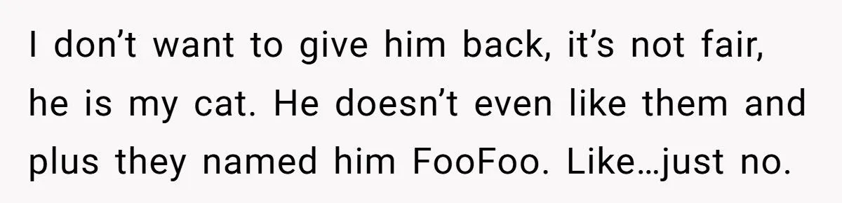 She Refused to Give Back Her Stolen Cat – What Happened Next Turned Into a Family Feud