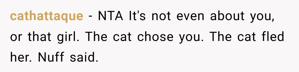 She Refused to Give Back Her Stolen Cat – What Happened Next Turned Into a Family Feud