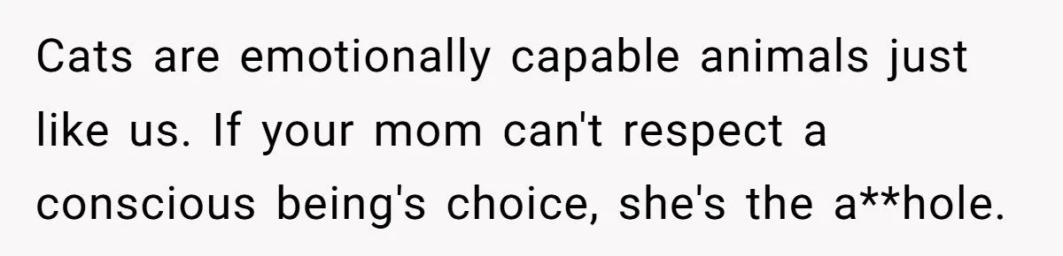 She Refused to Give Back Her Stolen Cat – What Happened Next Turned Into a Family Feud