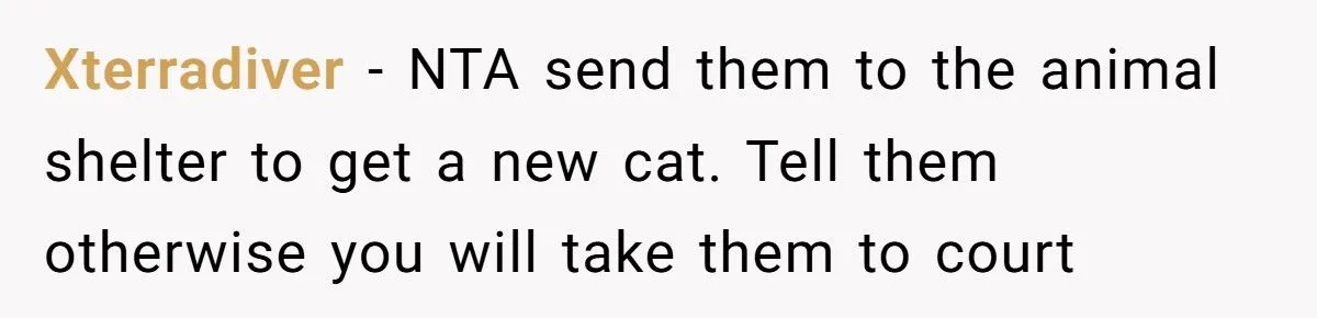 She Refused to Give Back Her Stolen Cat – What Happened Next Turned Into a Family Feud