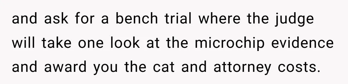 She Refused to Give Back Her Stolen Cat – What Happened Next Turned Into a Family Feud