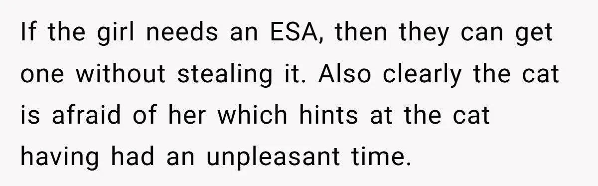 She Refused to Give Back Her Stolen Cat – What Happened Next Turned Into a Family Feud