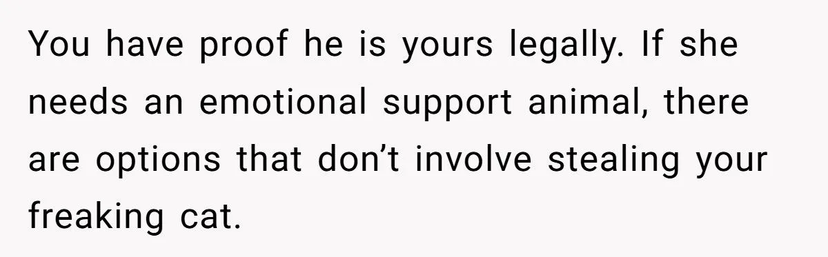 She Refused to Give Back Her Stolen Cat – What Happened Next Turned Into a Family Feud