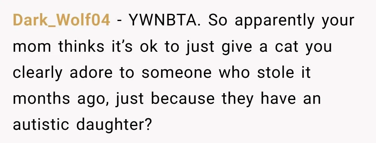 She Refused to Give Back Her Stolen Cat – What Happened Next Turned Into a Family Feud