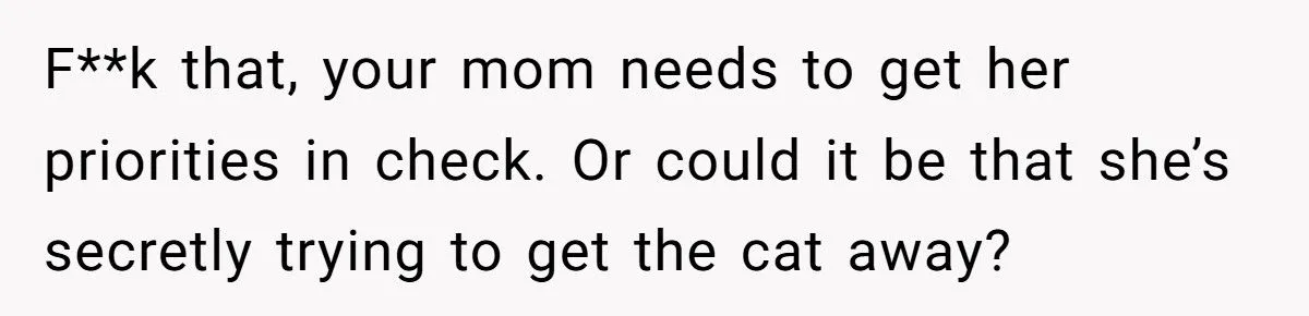 She Refused to Give Back Her Stolen Cat – What Happened Next Turned Into a Family Feud