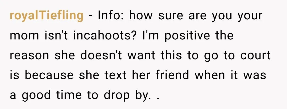 She Refused to Give Back Her Stolen Cat – What Happened Next Turned Into a Family Feud