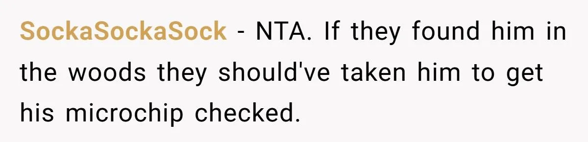 She Refused to Give Back Her Stolen Cat – What Happened Next Turned Into a Family Feud