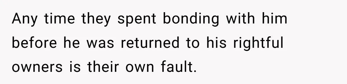 She Refused to Give Back Her Stolen Cat – What Happened Next Turned Into a Family Feud