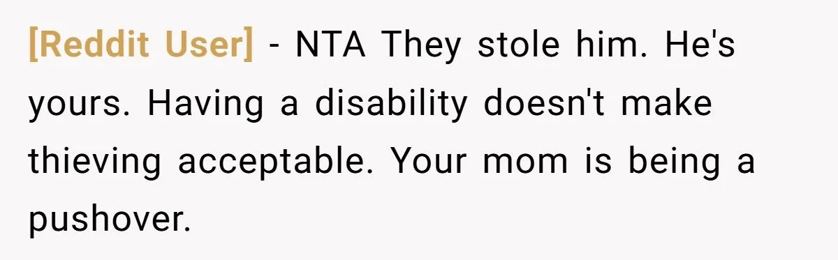 She Refused to Give Back Her Stolen Cat – What Happened Next Turned Into a Family Feud