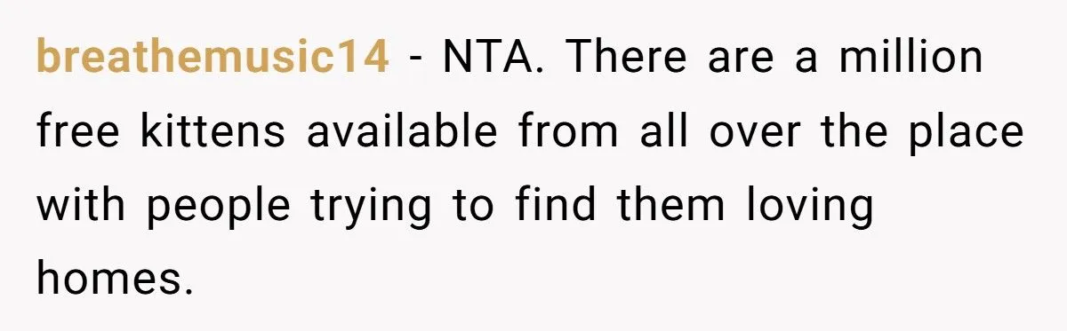She Refused to Give Back Her Stolen Cat – What Happened Next Turned Into a Family Feud