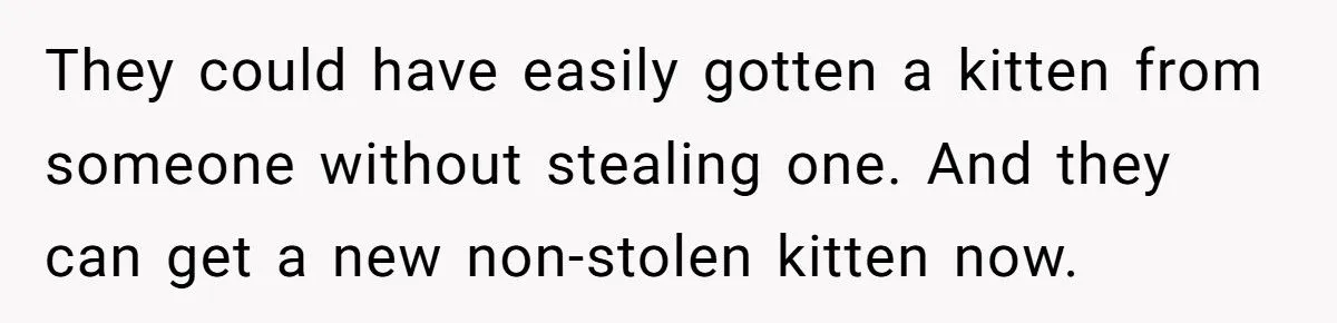 She Refused to Give Back Her Stolen Cat – What Happened Next Turned Into a Family Feud